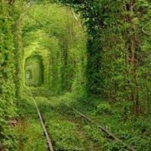 Meet your Posher, Anette